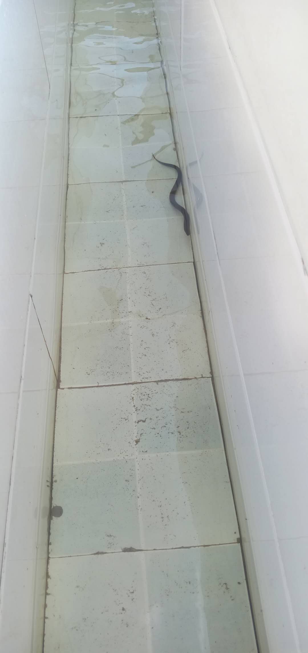 微信圖片_20190616103028.jpg 微信圖片_20190616103028.jpg